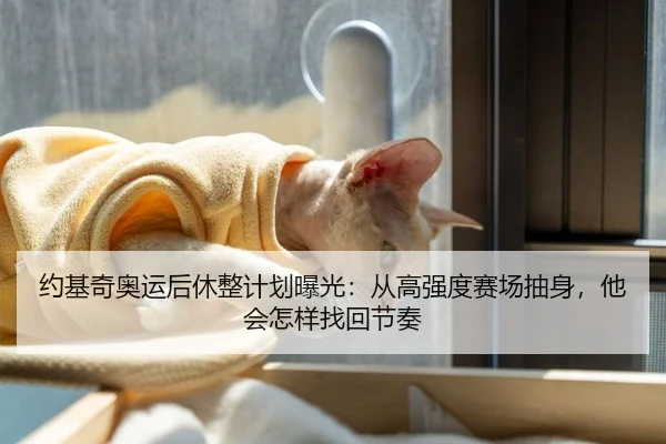 约基奇奥运后休整计划曝光：从高强度赛场抽身，他会怎样找回节奏